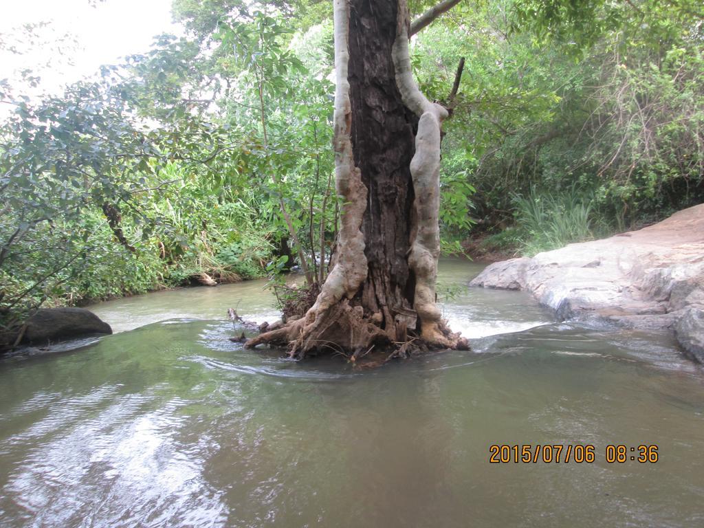 Riverside Lal Homestay Sigiriya Dış mekan fotoğraf