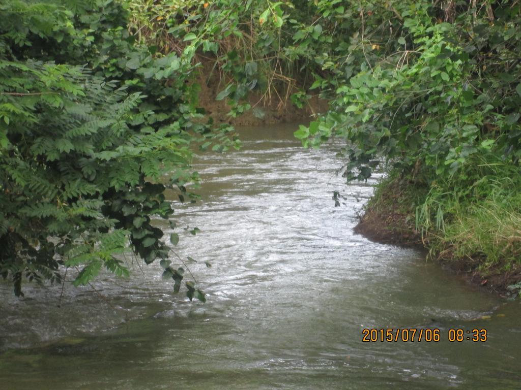 Sigiriya River Side Resort Dış mekan fotoğraf