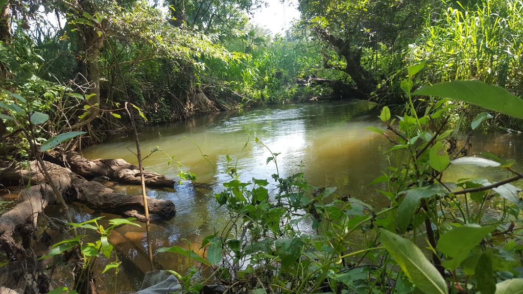 Sigiriya River Side Resort Dış mekan fotoğraf