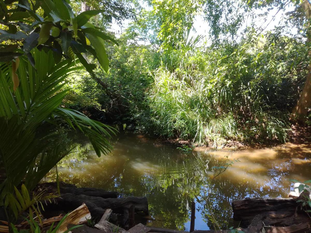 Sigiriya River Side Resort Dış mekan fotoğraf